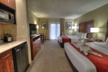 هتل Comfort Inn & Suites At Dollywood Lane