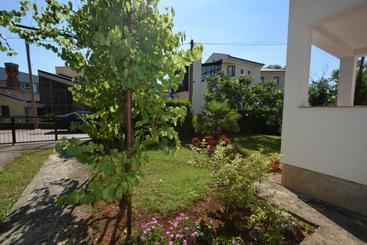Apartments Petrovic