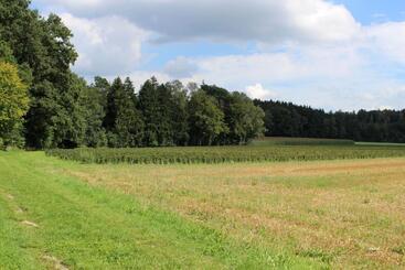 בית מלון כפרי Heike Garni