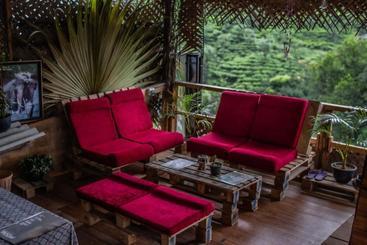هاستل Tree House Cafe Ella