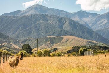 هتل Awatea Country Bed & Breakfast