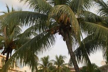 هتل Escale Vacances