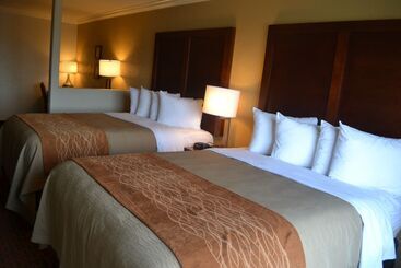 酒店 Comfort Inn & Suites Houston Key Katy