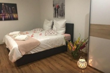 관광객 아파트 Oftersheim Apartment