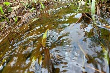Пансион Green Mountain Resort Koh Yao