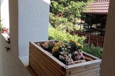 관광객 아파트 Pensiunea Poiana Cristian