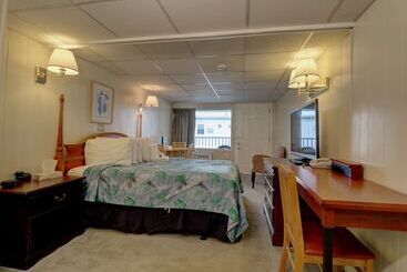 モーテル Sea View Inn