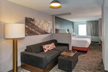 فندق Springhill Suites Anchorage Midtown