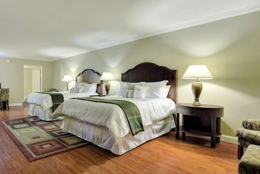 فندق Stanford Terrace Inn