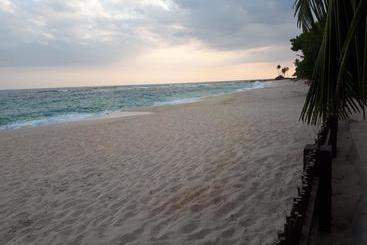 Пансион Cactus Villa