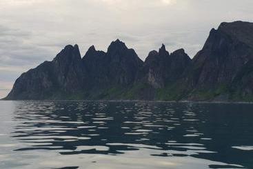 Northern Light Hotell/camp Steinfjord