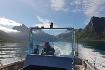 Northern Light Hotell/camp Steinfjord