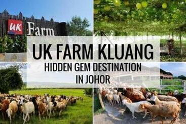 בית מלון כפרי Uk Farm Agro Resort