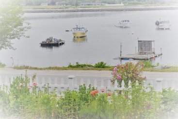 مبيت وإفطار Elsa S Inn On The Harbor