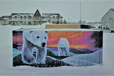 فندق على الطريق Iceberg Inn