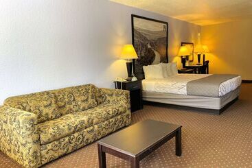 فندق على الطريق Hill Country Inn & Suites   New Braunfels, Gruene