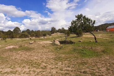 בית מלון כפרי Cabañas Amanda