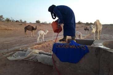 مسافرخانه Desert Waves