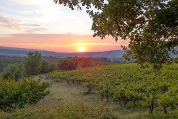 Bed and Breakfast La Couleur Des Vignes