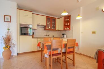 Alenka Orange