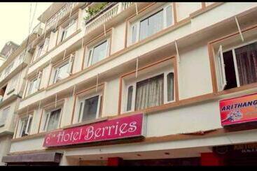 בית מלון כפרי Berries