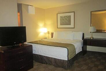 Отель Sonesta Simply Suites Stafford