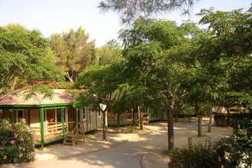 Camping Vilanova Park