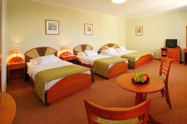 בית מלון כפרי Baross City