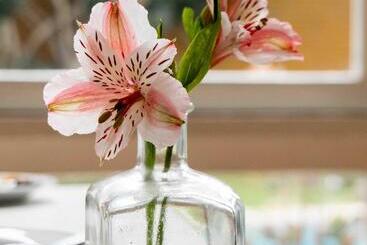 Hotel Basadre Suites