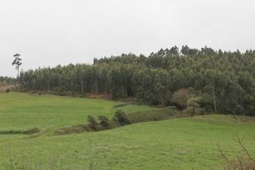 호텔 Palacio De Fiame