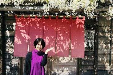 Shinbashi Ryokan Japanese Style