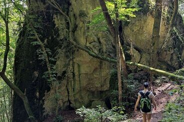 관광객 아파트 Apartment In The Middle Of Franconian Switzerland
