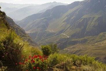 فندق La Granja Del Colca