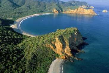 هتل Wild Child Village