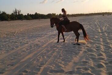 בית מלון כפרי Pousada La Dolce Vita Smg