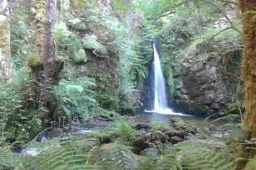 مسافرخانه Casona De Miyares   La Figar