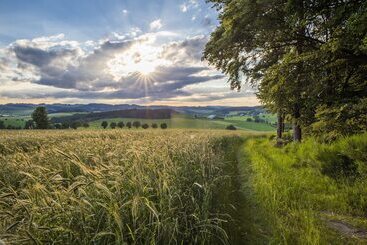 アパートホテル Landhaus Schulte Göbel