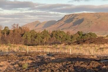 コテージ Luxury And Peaceful 1 Bed Roundhouse With Hot Tub
