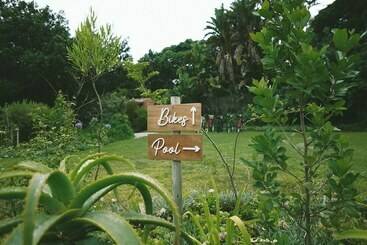 فندق Lovemore Lodges Knysna