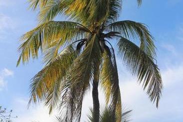 هتل Ten Degrees South