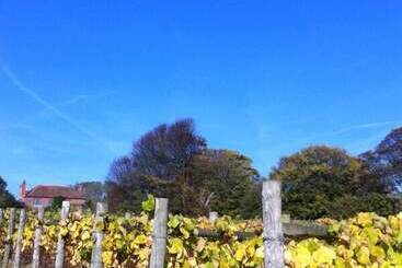 住宿加早餐  Terlingham Lane Cottage