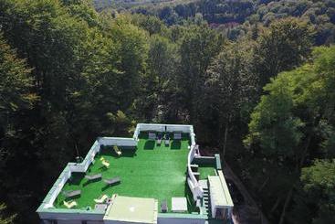 Pensão Former Ceausescu's Vila Crizantema