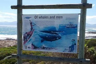 مبيت وإفطار Wave Dancer