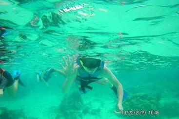 فندق Blue Reef Frente Al Mar