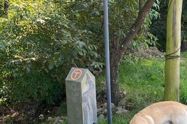 פנסיון Hanul Conitei