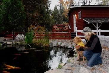 호스텔 Silver Pines Lodge