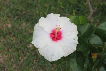 アパートホテル Grand Bay Suites