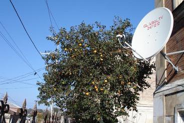 پانسیون Guest House Deda Lali