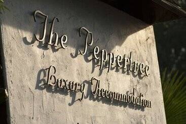 هتل The Peppertree Luxury Accommodation