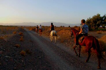 هتل Aramja Luxury Camp